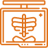 Interventional Radiology