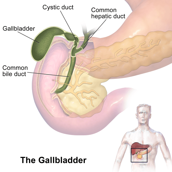 Article on Gall Bladder Surgery