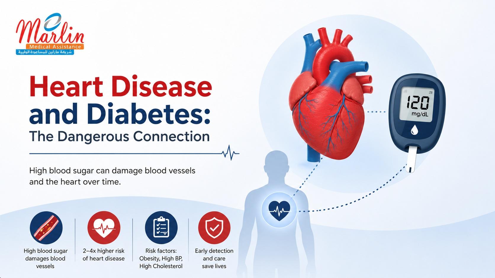 Article on Heart Disease and Diabetes: The Dangerous Connection