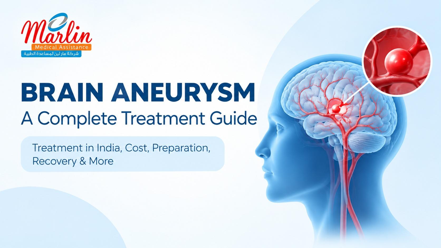 Article on Brain Aneurysm Treatment in India: Clipping vs Coiling — Cost, Procedure & Hospitals