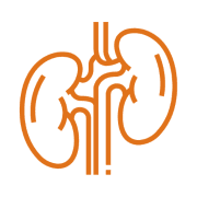 Nephrology Treatment